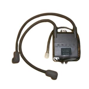 DS-B-21 – Ignition Transformer
